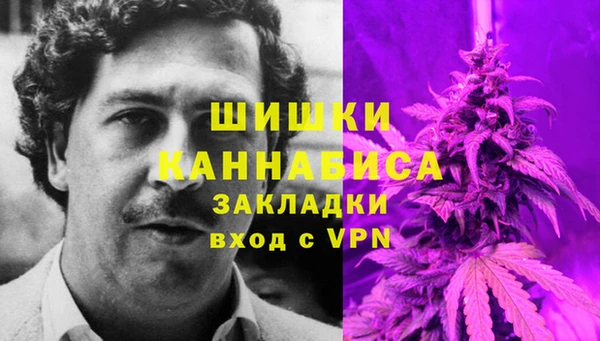 спиды Вязьма