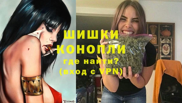 скорость Гусев