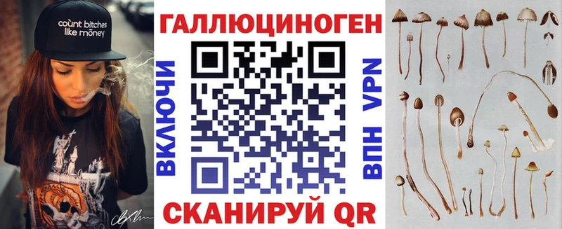 Псилоцибиновые грибы MAGIC MUSHROOMS  наркотики  Дмитровск 