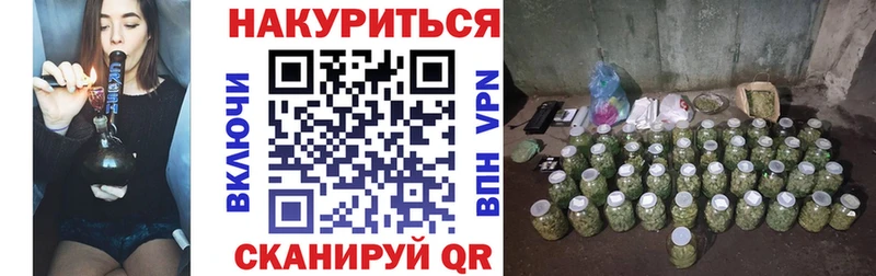 ссылка на мегу как зайти продажа наркотиков Дмитровск Канабис сатива